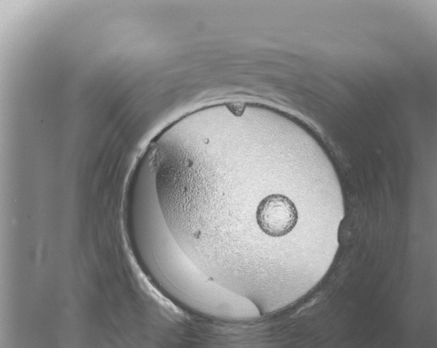 X0000077991518200611171741