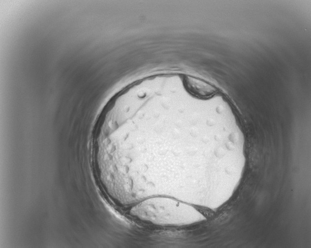 X0000077991519200611171741