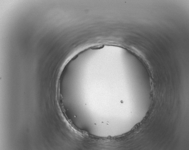 X0000077991520200611171741