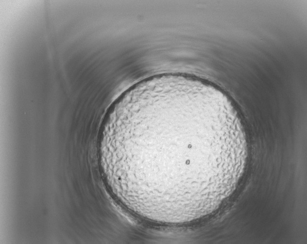 X0000077991521200611171741