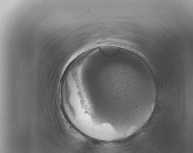 X0000077991522200611171741