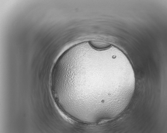 X0000077991523200611171741