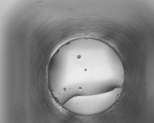 X0000077991524200611171741