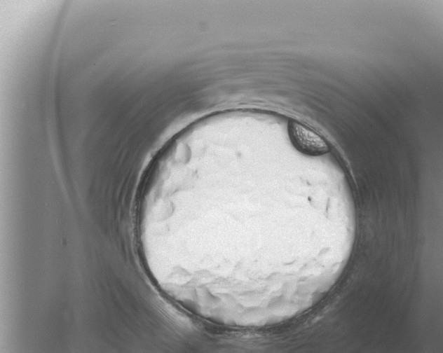 X0000077991525200611171741