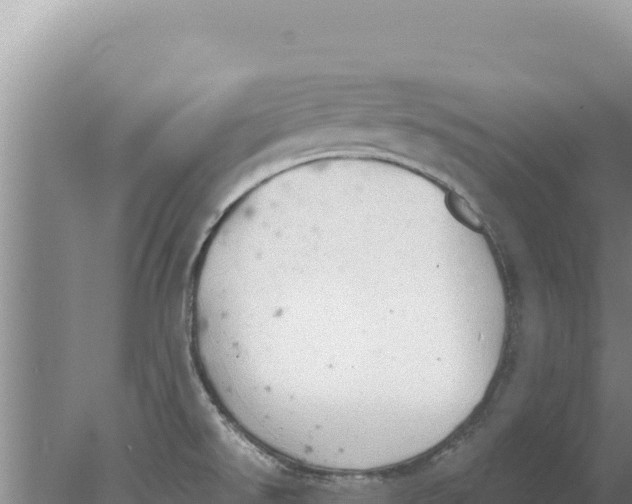 X0000077991526200611171741