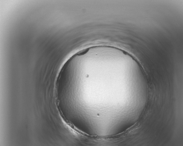 X0000077991527200611171741