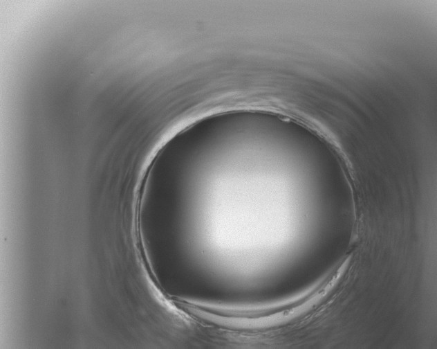 X0000077991528200611171741