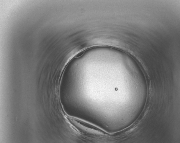 X0000077991529200611171741