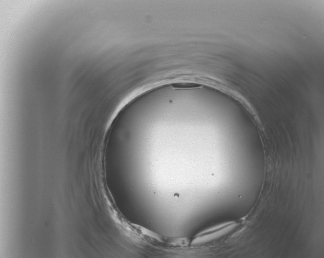 X0000077991530200611171741