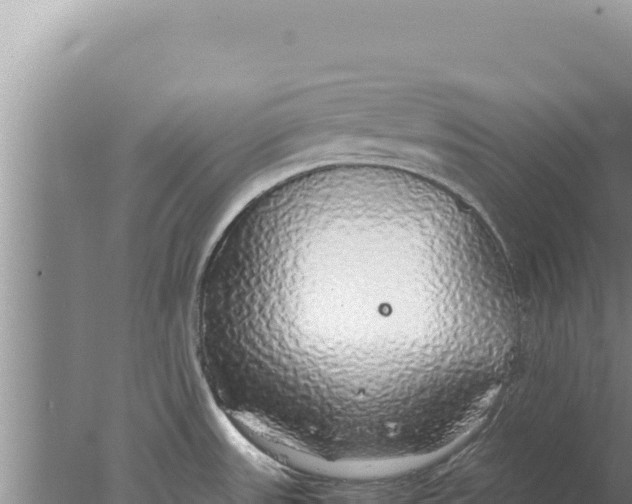 X0000077991531200611171741