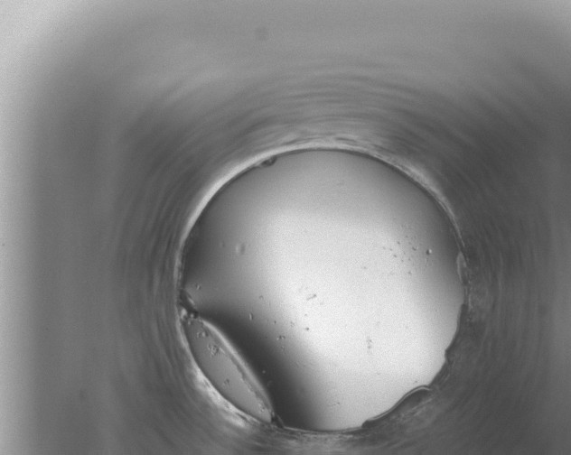 X0000077991532200611171741