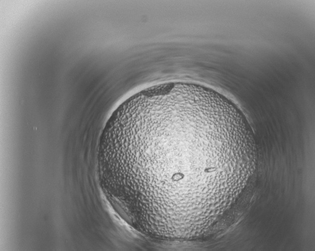 X0000077991534200611171741