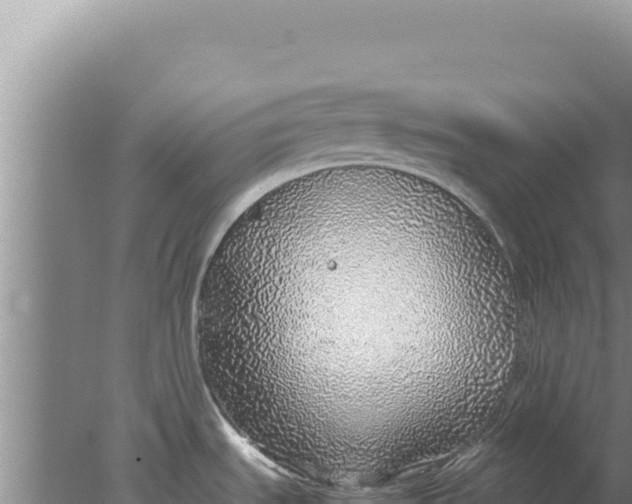 X0000077991535200611171741