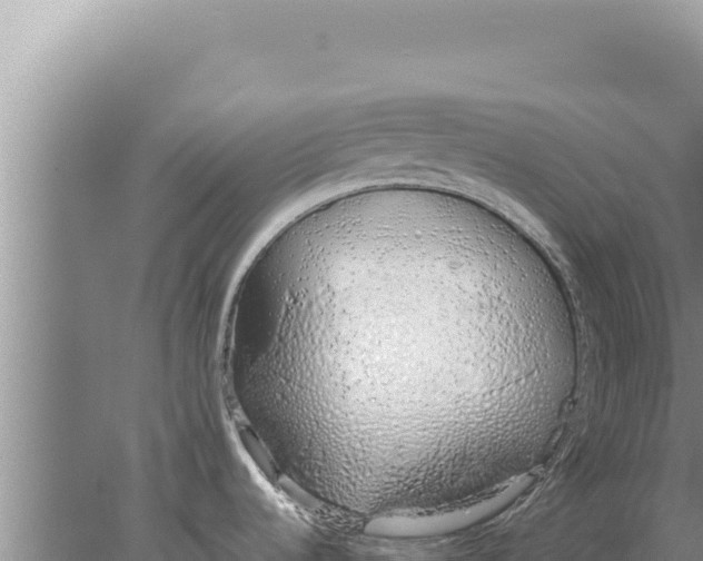 X0000077991536200611171741