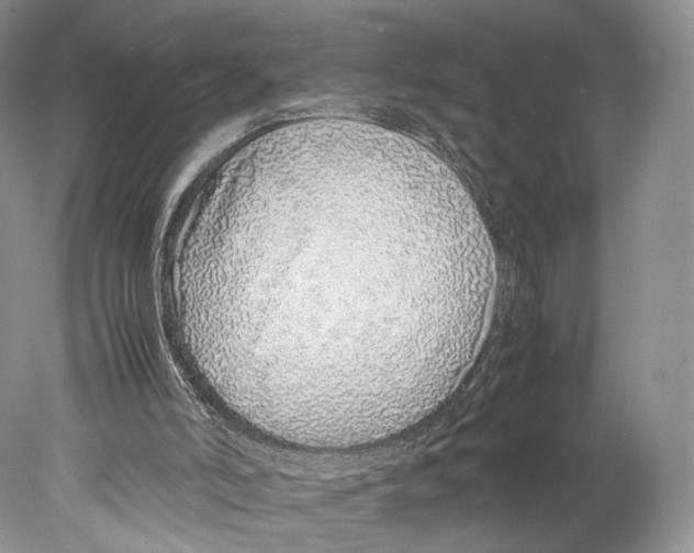 X0000077990006200611251423