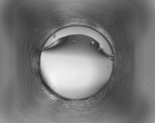 X0000077990009200611251423