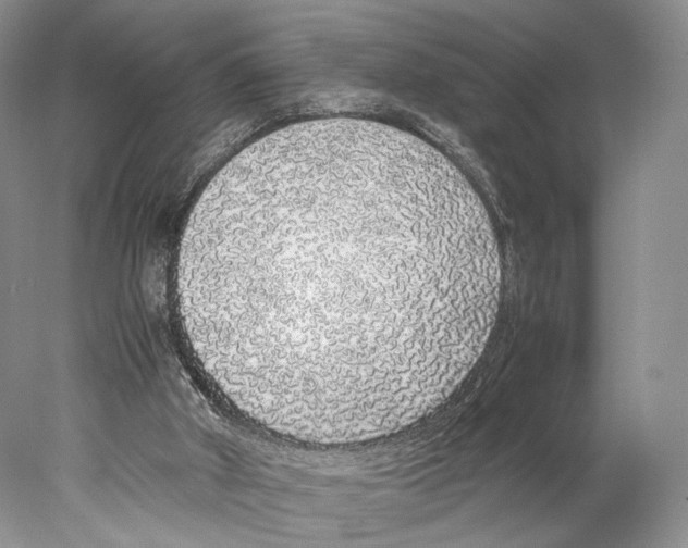 X0000077990010200611251423