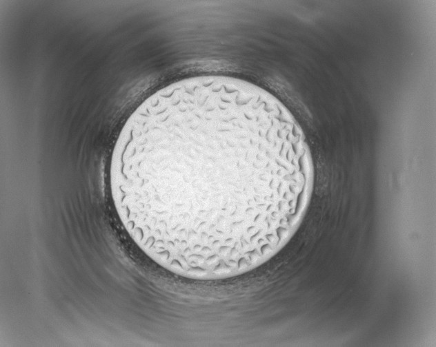 X0000077990014200611251423