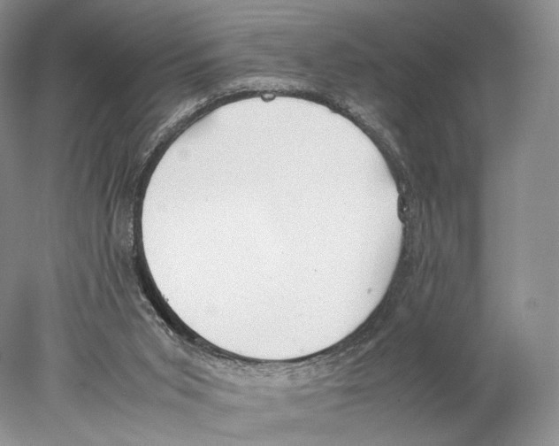 X0000077990015200611251423