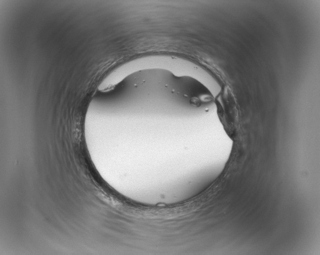 X0000077990017200611251423