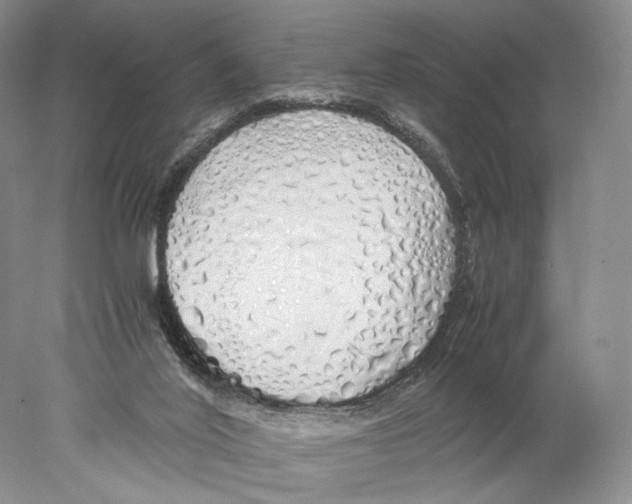 X0000077990020200611251423