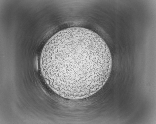 X0000077990022200611251423