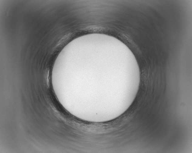 X0000077990024200611251423