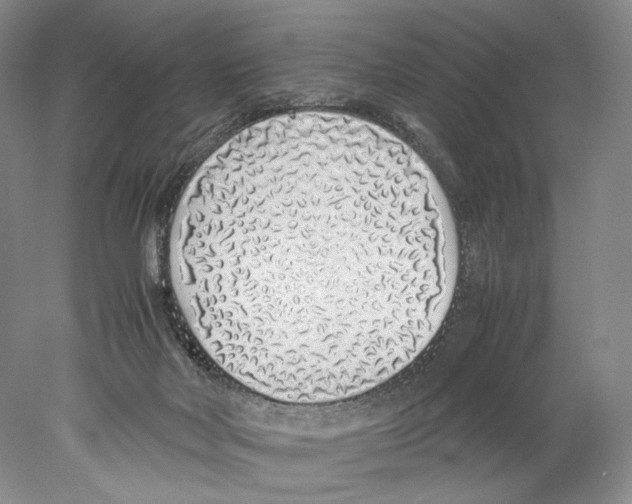 X0000077990026200611251423