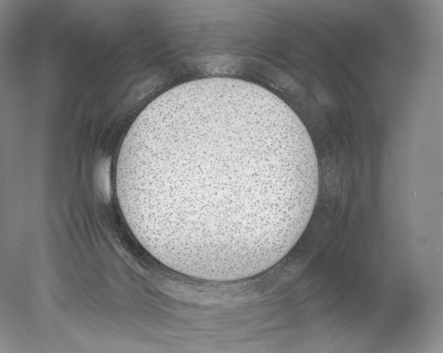 X0000077990028200611251423