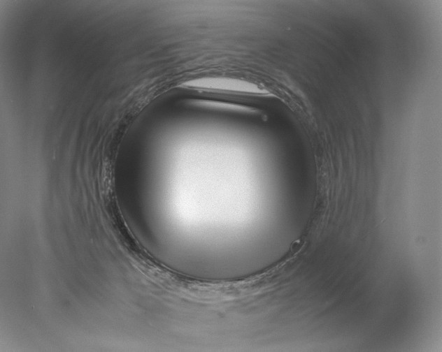 X0000077990029200611251423