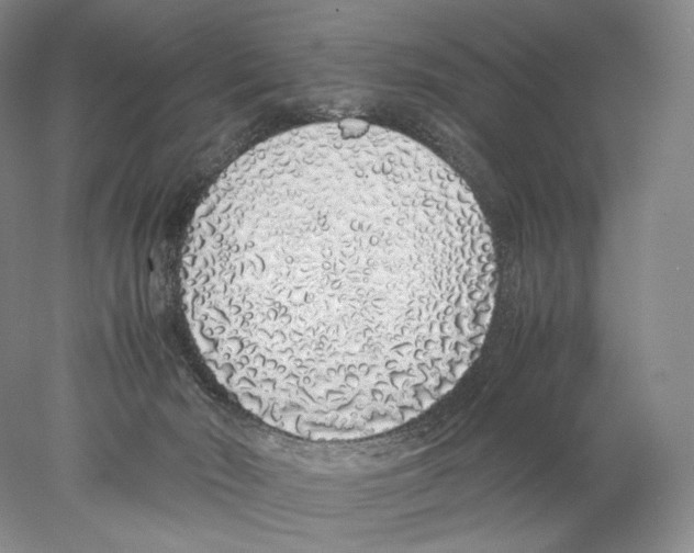 X0000077990030200611251423