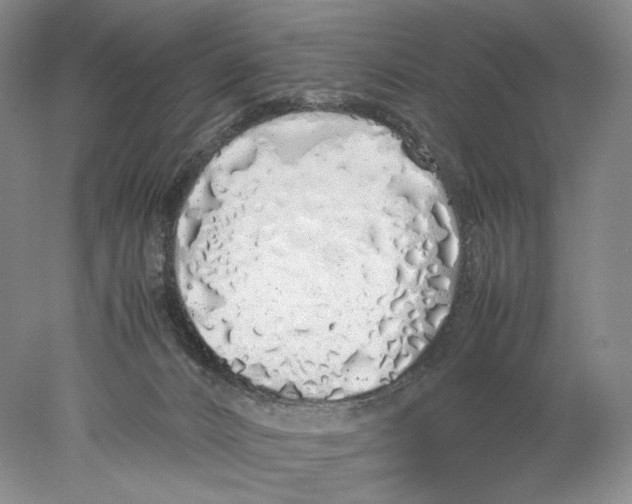 X0000077990032200611251423