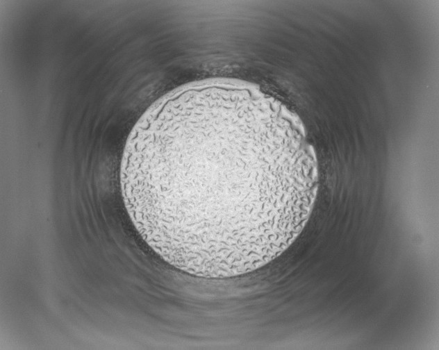 X0000077990034200611251423