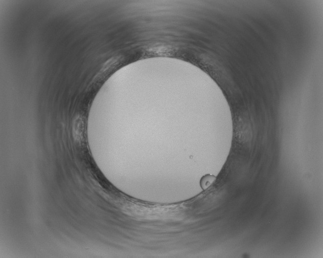 X0000077990036200611251423