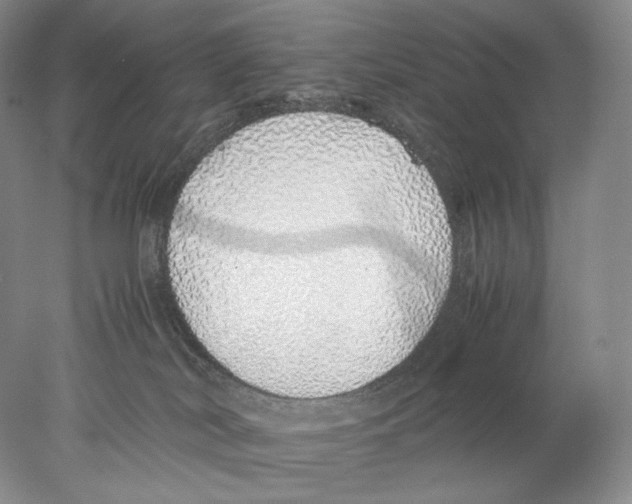 X0000077990038200611251423