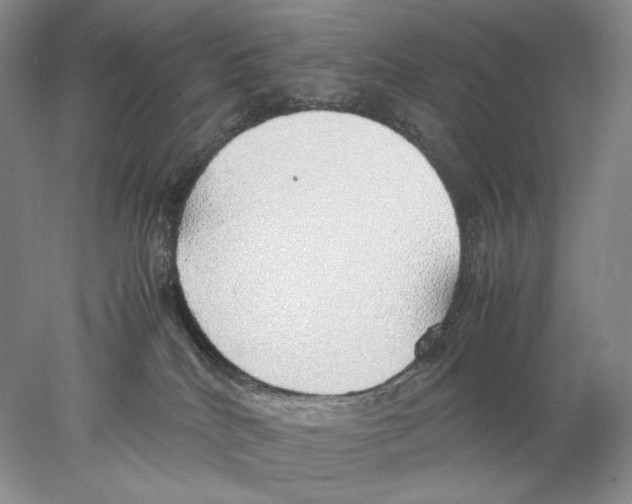 X0000077990040200611251423
