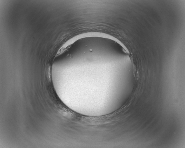 X0000077990041200611251423