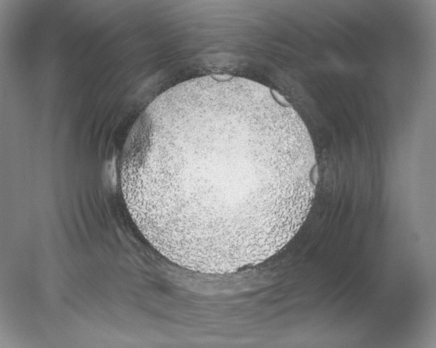 X0000077990042200611251423