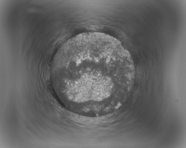 X0000077990043200611251423