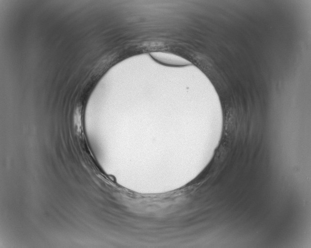 X0000077990046200611251423