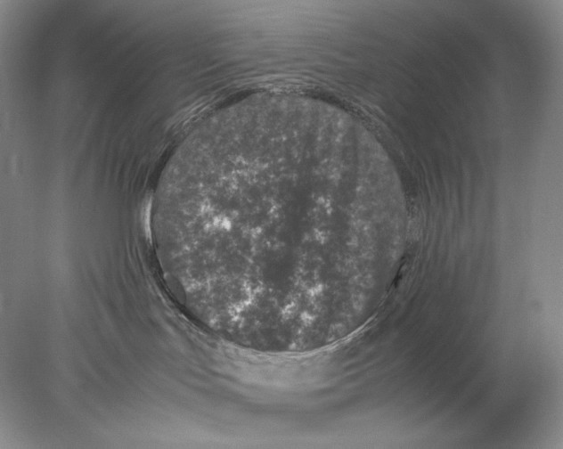 X0000077990047200611251423