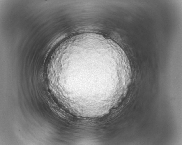 X0000077990050200611251422