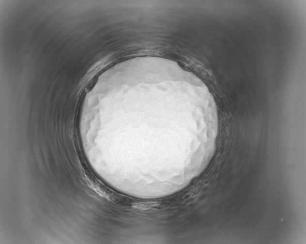 X0000077990051200611251422