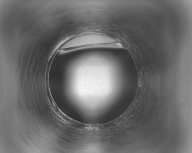 X0000077990052200611251422