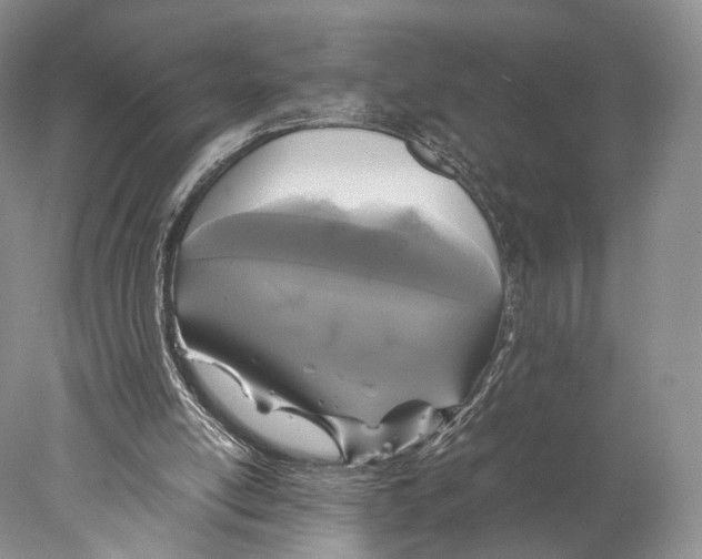 X0000077990054200611251422