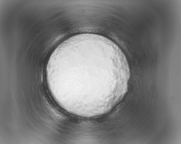 X0000077990062200611251422