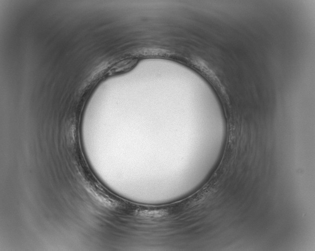 X0000077990063200611251422