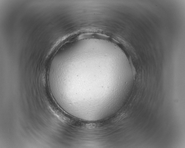 X0000077990064200611251422