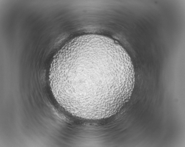 X0000077990066200611251422