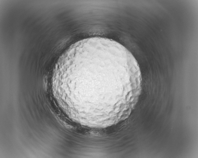 X0000077990070200611251422